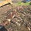 #136-•-log-deck-shaft-image-12