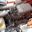 kubota-bx2380-image-21