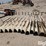 tebben-row-cultivator-shields-image-4