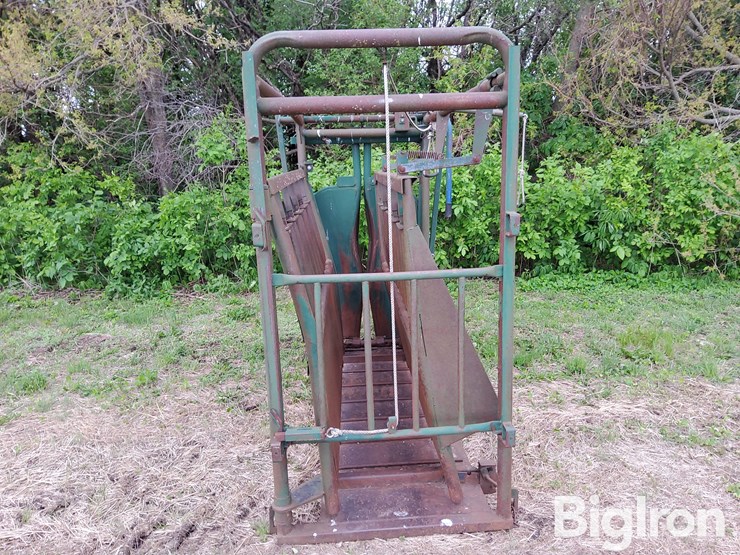 big-valley-6011-head-squeeze/cattle-chute-image-6