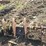 #136-•-log-deck-shaft-image-10