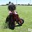 international-181-image-4