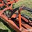 krause-4330-image-12