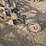 john-deere-5-image-8