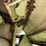 roto-mix-490-14-image-33
