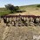 case-ih-4500-image-6