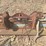 #144-•-hoist-track-image-11