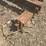 #143-•-hoist-track-image-9