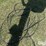 westfield-wr60-41-grain-auger-image-10