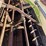 roto-mix-490-14-image-42