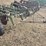 john-deere-5-image-4