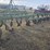 john-deere-2350-2450-image-9
