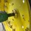 1982-john-deere-4040-image-21
