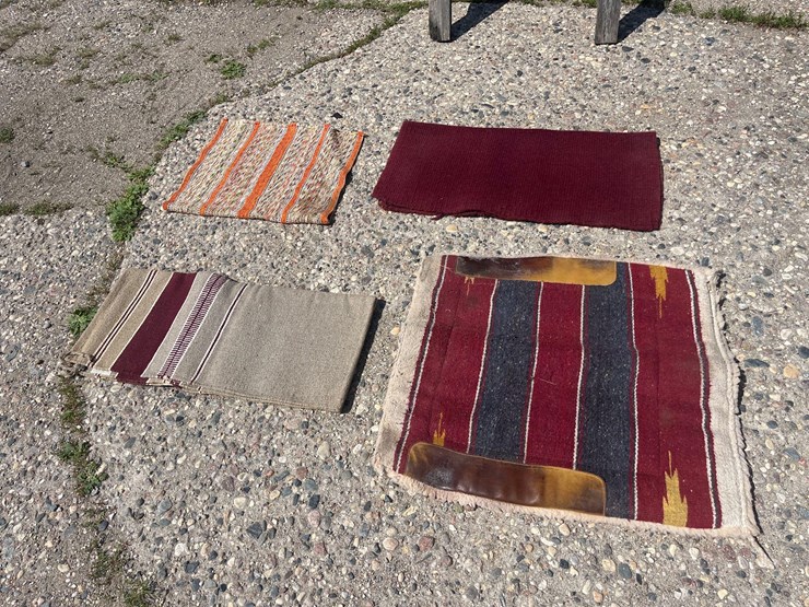 horse-blankets-image-4
