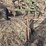 john-deere-5-image-1