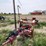 rowse-d9-image-3