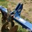 blu-jet-track-master-image-20