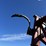 wil-rich-13qx2-55-image-36