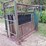 big-valley-6011-head-squeeze/cattle-chute-image-5