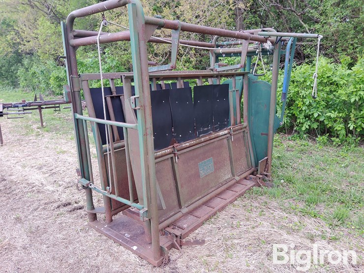 big-valley-6011-head-squeeze/cattle-chute-image-5