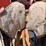 denver-colorado-saddle-image-9