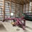 rowse-d9-image-2