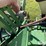 john-deere-7100-image-16