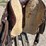 youth-saddle-image-5