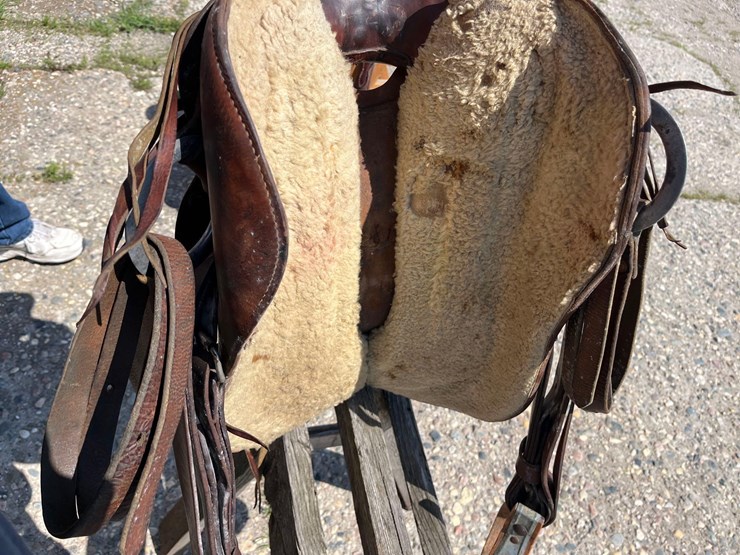 youth-saddle-image-5