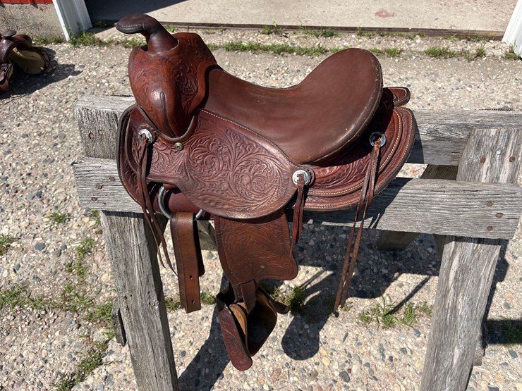 youth-saddle-image-2