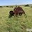 krause-4608-r3-image-8
