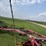 2009-rowse-d9-image-2