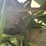 2001-john-deere-9650-sts-image-20