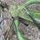 krone-am283s-image-11
