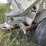 wilmar-8-ton-224-image-6