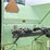 steiger-lion-1000-image-33