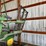 john-deere-960-cultivator-image-7