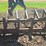 #201-•-bucksaw-and-bunk-image-25