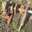 #136-•-log-deck-shaft-image-8