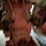 international-1066-image-13