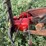 rowse-d9-image-4