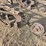 john-deere-5-image-10