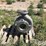 2006-flowserve-mk3std-pump-w/motor-image-3