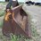 cat-2.38-yard-clam-bucket-image-3