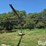 west-pt-design-shade-all-livestock-shade-image-1