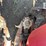 case-ih-2412-image-24