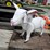 #436-•-lamb-metal-yard-art-image-7