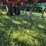 wil-rich-13qx2-55-image-26