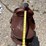 youth-saddle-image-1