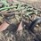 john-deere-5-image-8